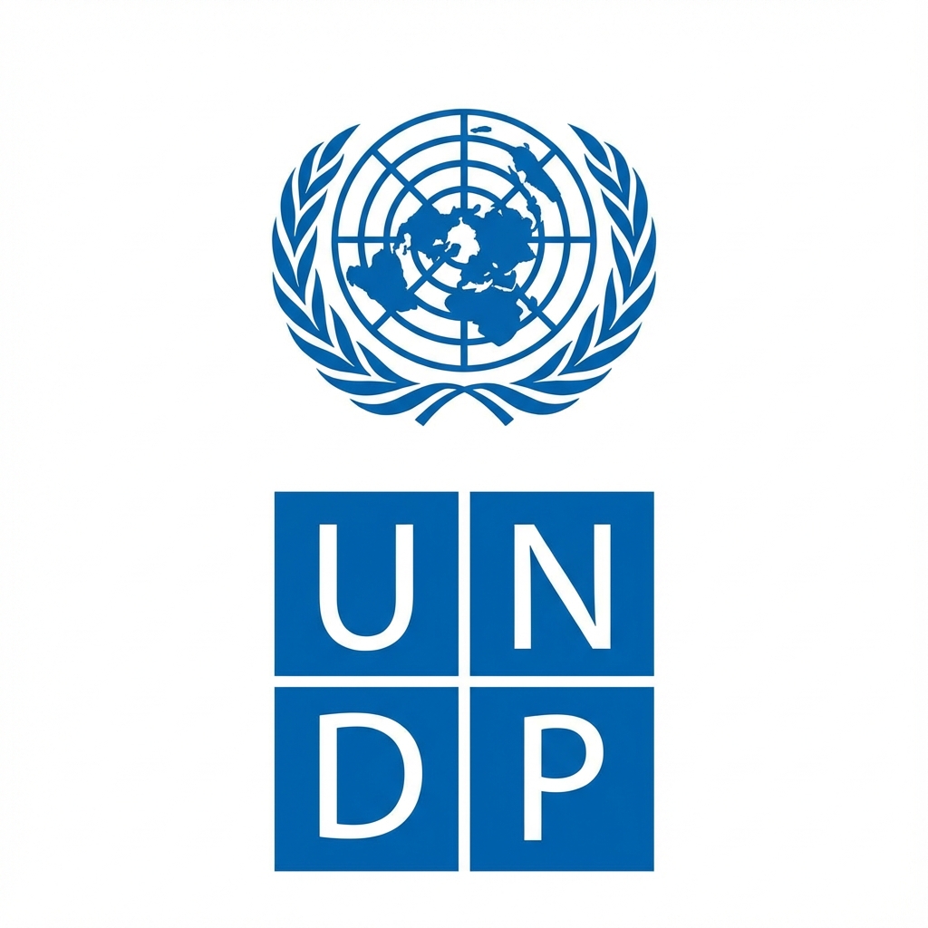UNDP